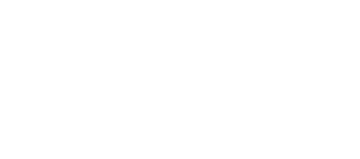 Медиа менеджер России 2020